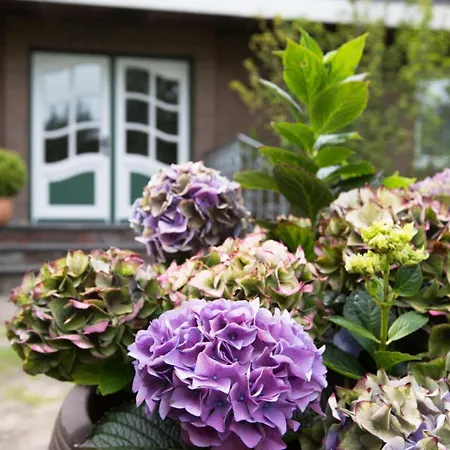 Pleasant In Sueddorf Apartament